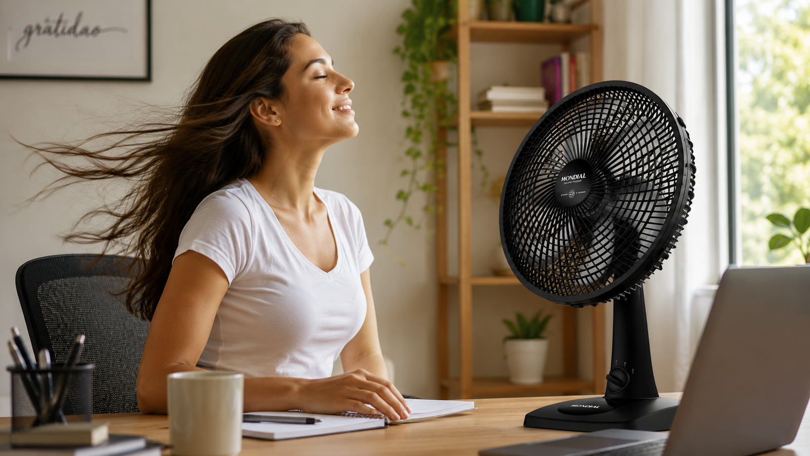 Ventilado-Blog Análises e Indicaçõe