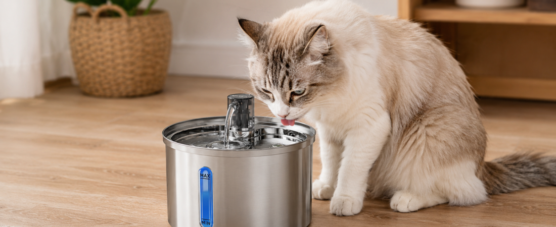 Bebedouro para Gatos em Aço Inox 3L Vale a Pena? Review Completo, Prós, Contras e Onde Comprar